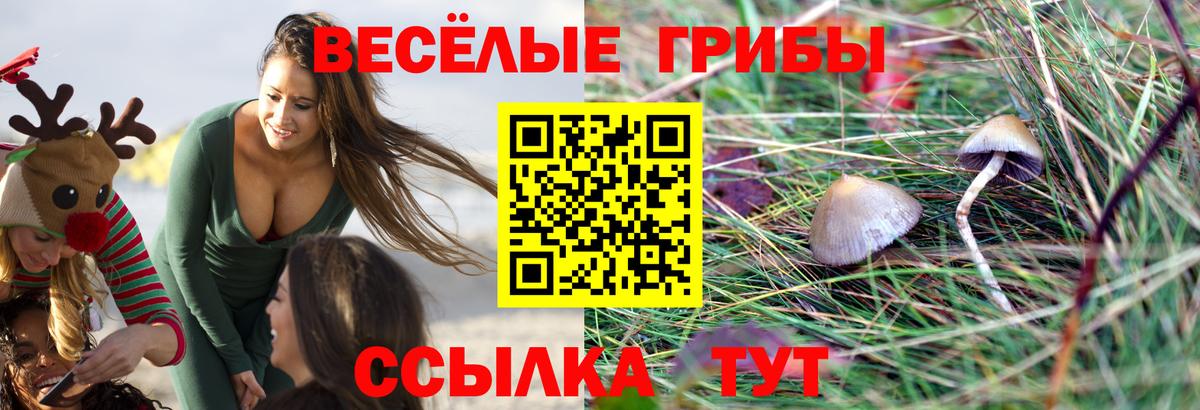 Псилоцибиновые грибы GOLDEN TEACHER  Вход с VPN  Баксан 